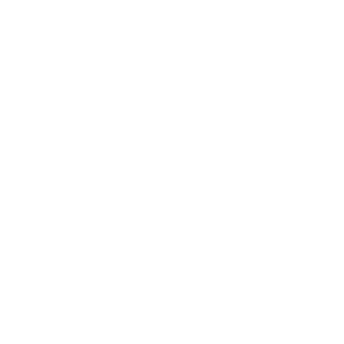verizon.png